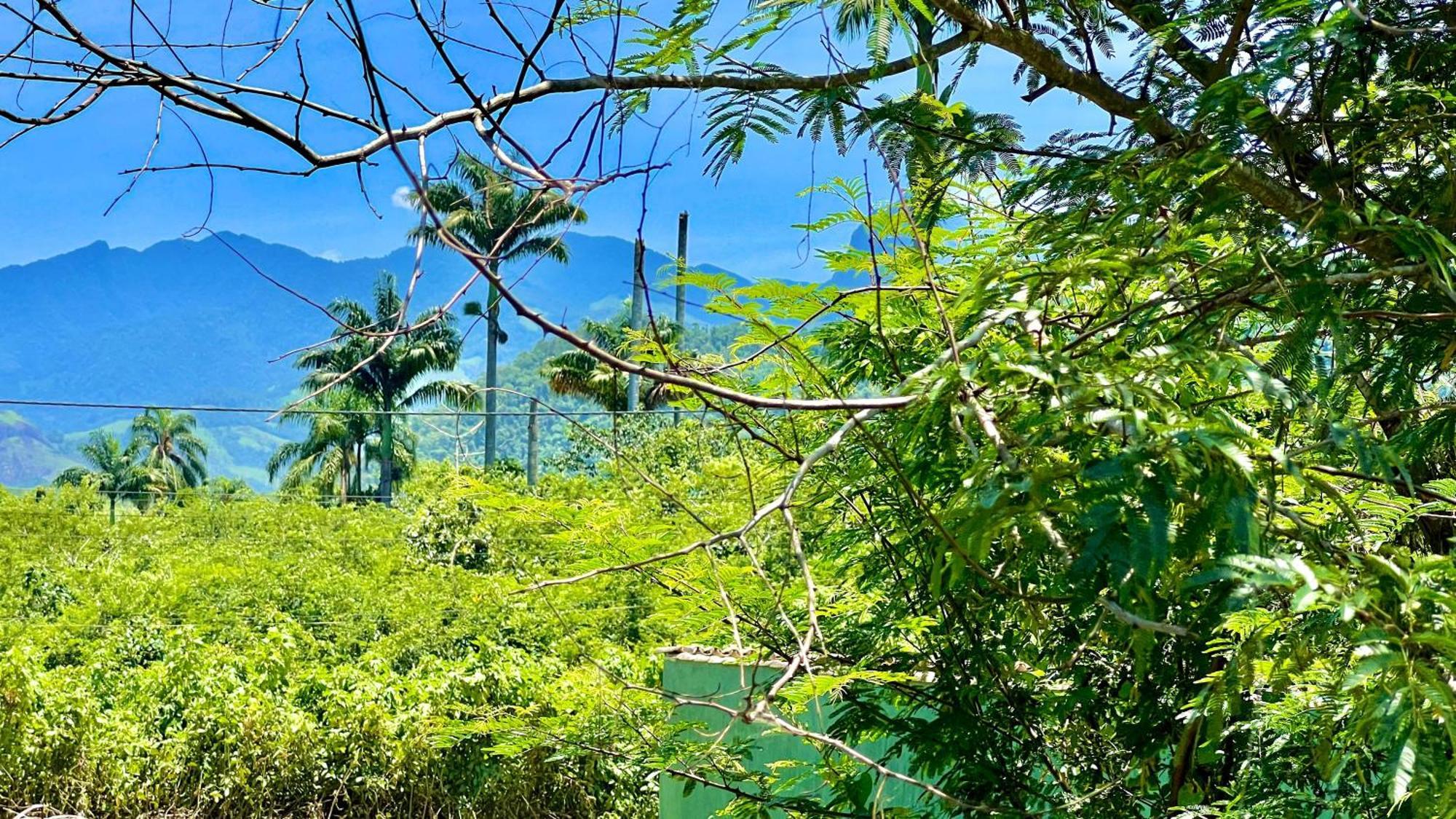 Canto Do Jao Araquari Exterior foto